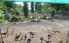 IMG_20220509_150712.jpg
