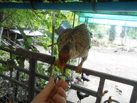 DSCN1420.JPG