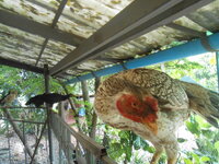 DSCN1424.JPG