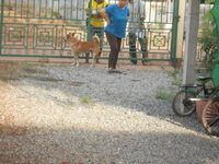 DSCN9182.JPG