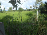 DSCN0962.JPG