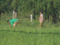DSCN0964.JPG
