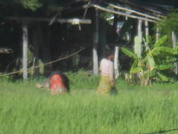 DSCN0966.JPG
