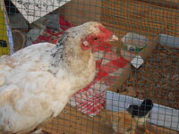 DSCN0891.JPG