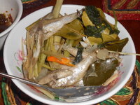 DSCN0144.JPG