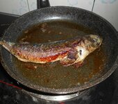 IMG_20200609_110932.jpg