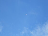DSCN0928.JPG