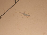 DSCN0937.JPG