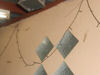 DSCN0947.JPG