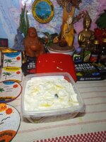 IMG_20240716_202448_208.jpg