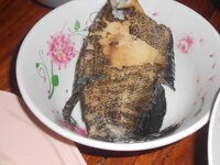 DSCN9748.JPG