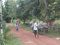 DSCN8891.JPG