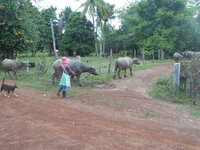 DSCN8893.JPG
