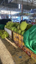 IMG_4113.jpeg