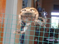 DSCN8799.JPG