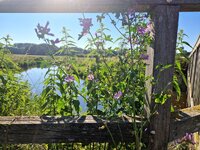 20240625_090713.jpg