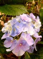 IMG_20240728_103047.jpg