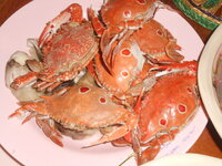 DSCN0141.JPG