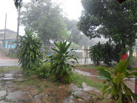 DSCN0730.JPG