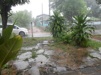 DSCN0729.JPG