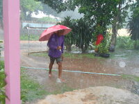 DSCN0733.JPG