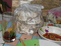 DSCN0740.JPG