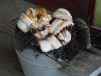 DSCN0723.JPG