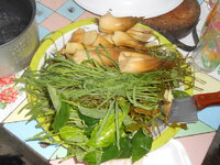 DSCN0734.JPG