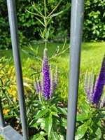20240605_100206.jpg