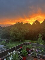 IMG_4264.jpeg