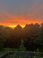 IMG_4268.jpeg