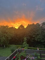 IMG_4265.jpeg