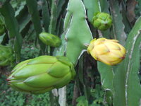 DSCN8830.JPG