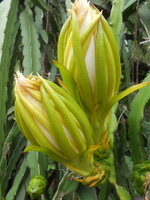 DSCN8829.JPG