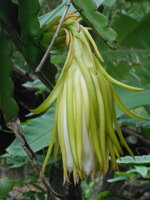 DSCN8832.JPG