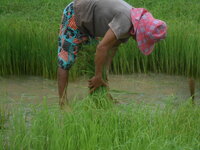 DSCN8791.JPG