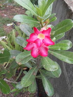 DSCN8836.JPG