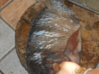 DSCN9030.JPG DSCN9030.JPG