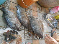 DSCN9033.JPG DSCN9033.JPG