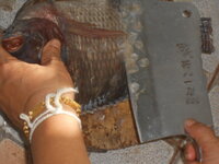 DSCN9032.JPG DSCN9032.JPG