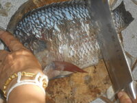 DSCN9031.JPG DSCN9031.JPG