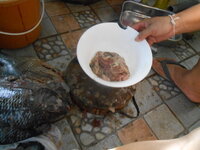 DSCN9036.JPG DSCN9036.JPG