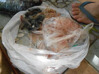 DSCN9034.JPG DSCN9034.JPG