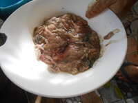 DSCN9037.JPG DSCN9037.JPG