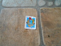 DSCN9028.JPG DSCN9028.JPG