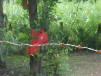 DSCN9226.JPG DSCN9226.JPG