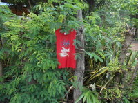 DSCN9206.JPG DSCN9206.JPG