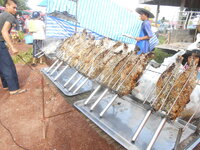 DSCN9316.JPG DSCN9316.JPG