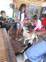 DSCN9988.JPG
