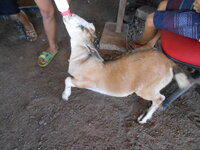 DSCN9990.JPG